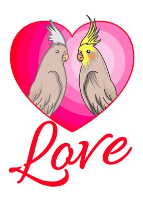 COCKATIEL LOVE Cockatiel