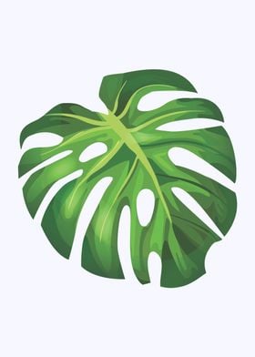 Monstera