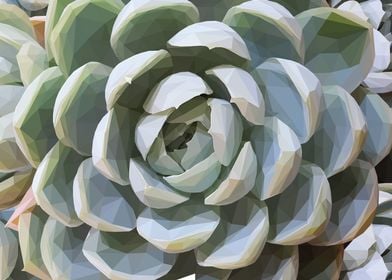 Teal Succulent