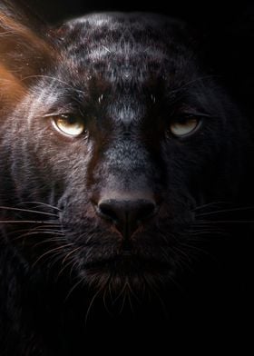 angry black panther face ' Poster by MK studio | Displate