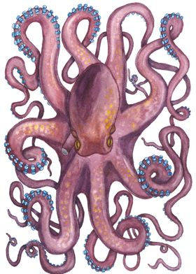 Octopus Watercolor