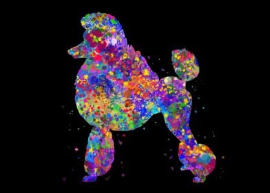 Poodle dog watercolor