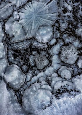 Microworld-preview-1