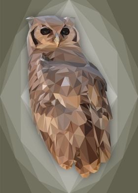 Overly Owl