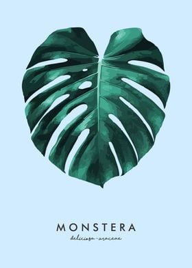 Monstera