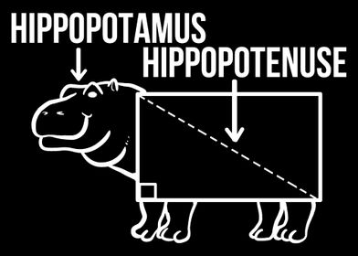 Hippopotenuse Hippo Owner 