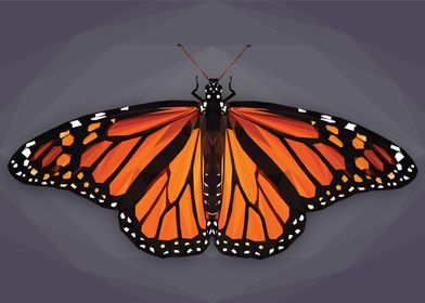 Monarch Butterfly