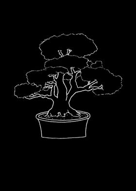 Bonsai