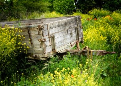 Old wooden Wagon 