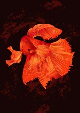 Siamese Fighting Fish 3