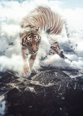 Giant Tiger and airplane