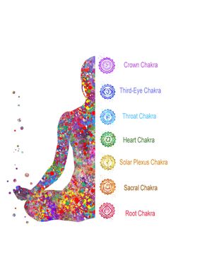 The Seven Chakras 