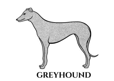 Greyhound Dog with Names