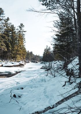 Winter River and Forest