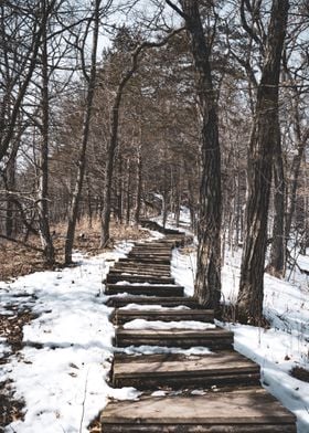 Stairs in the Snowy Forest