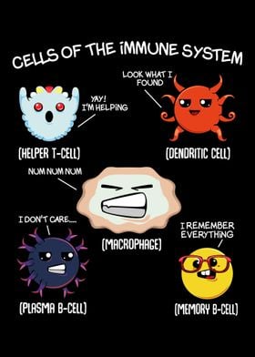 Cells Of The Immune System