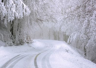 road snow tree