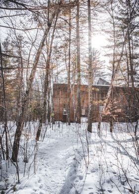 Building in the Forest