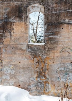 Window to the Forest