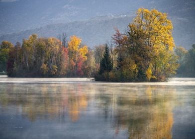 water tree mountain blue