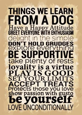 Things We Learn From a Dog