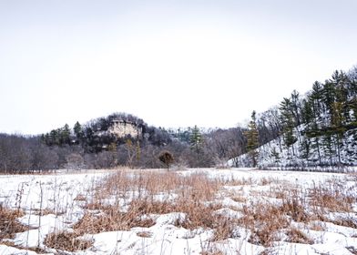 Minnesota Winter Landscape