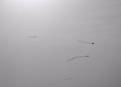 Minimal kites in the sky