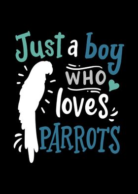 Parrots Birds Parrot Lover