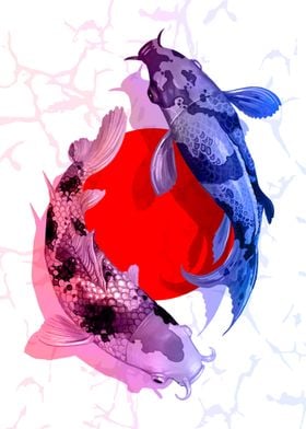 Koi Fish