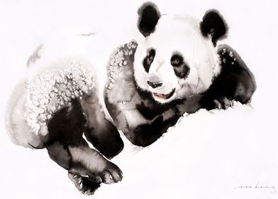 Cosy Panda3