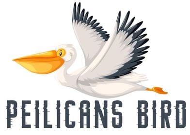 pelicans bird vector cute