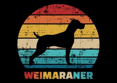 Weimaraner