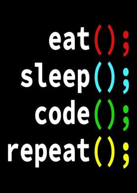 Programmer Coder