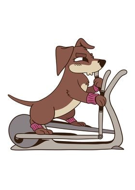 Crosstrainer Sausage Dog