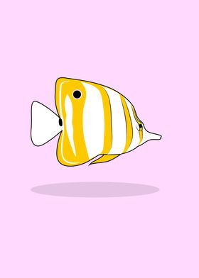 sweet butterfly fish