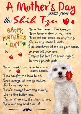 SHIH TZU MOTHER DAY 