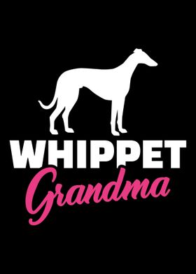 Whippet