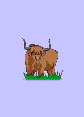 highland cow