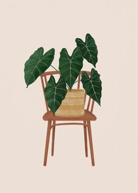 Philodendron Illustration