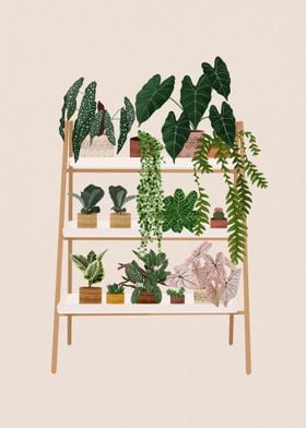 Plant Shelf 2