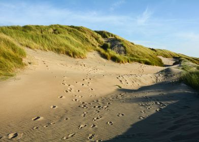 Dune hike