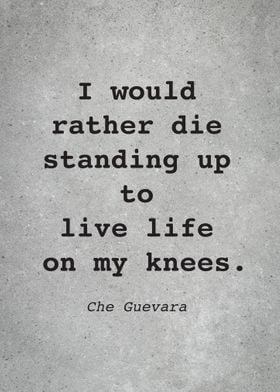 Che Guevara Quote L019