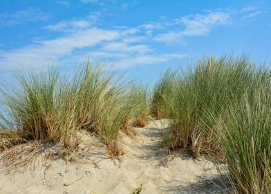 Sand dune