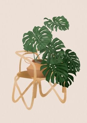 Monstera On A Chair 1