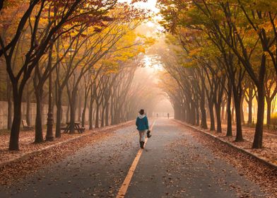 people run road tree