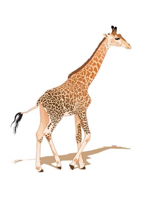 Giraffe cartoon