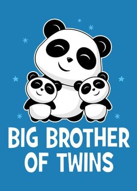 Big Brother Of Twins