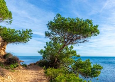 The coast in Ametlla