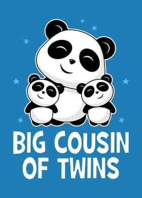 Big Cousin Of Twins