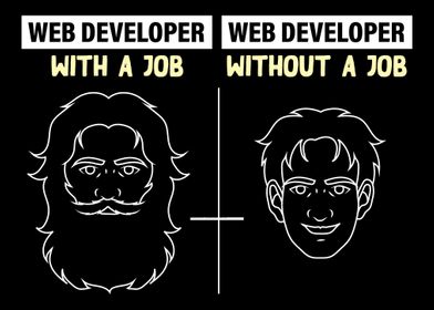 Web Developer Programmer